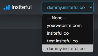 Insiteful Domain Dropdown